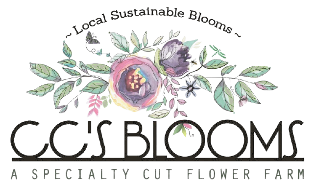 CC's Blooms